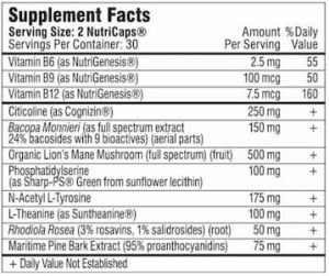 nootropics ingredients